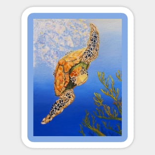 Green Sea Turtle Swimming in The Sea Sticker